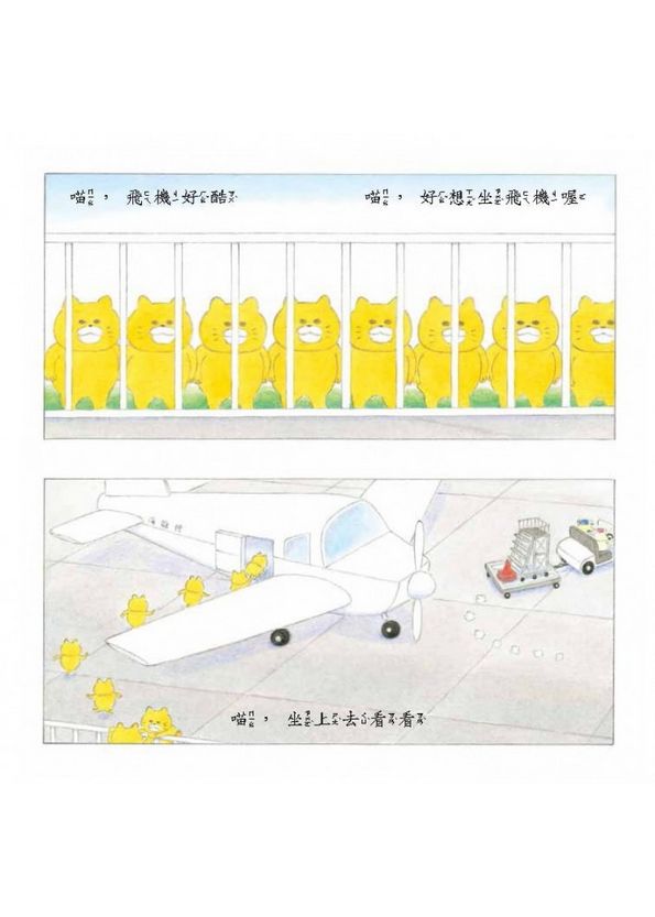 野貓軍團飛上天